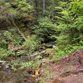 Review photo of Camas Creek Campground by Lauren D., May 26, 2020