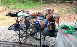 Cathy S.'s photo of camping with pets at Riverfront Campground and Canoe near Lebanon, MO