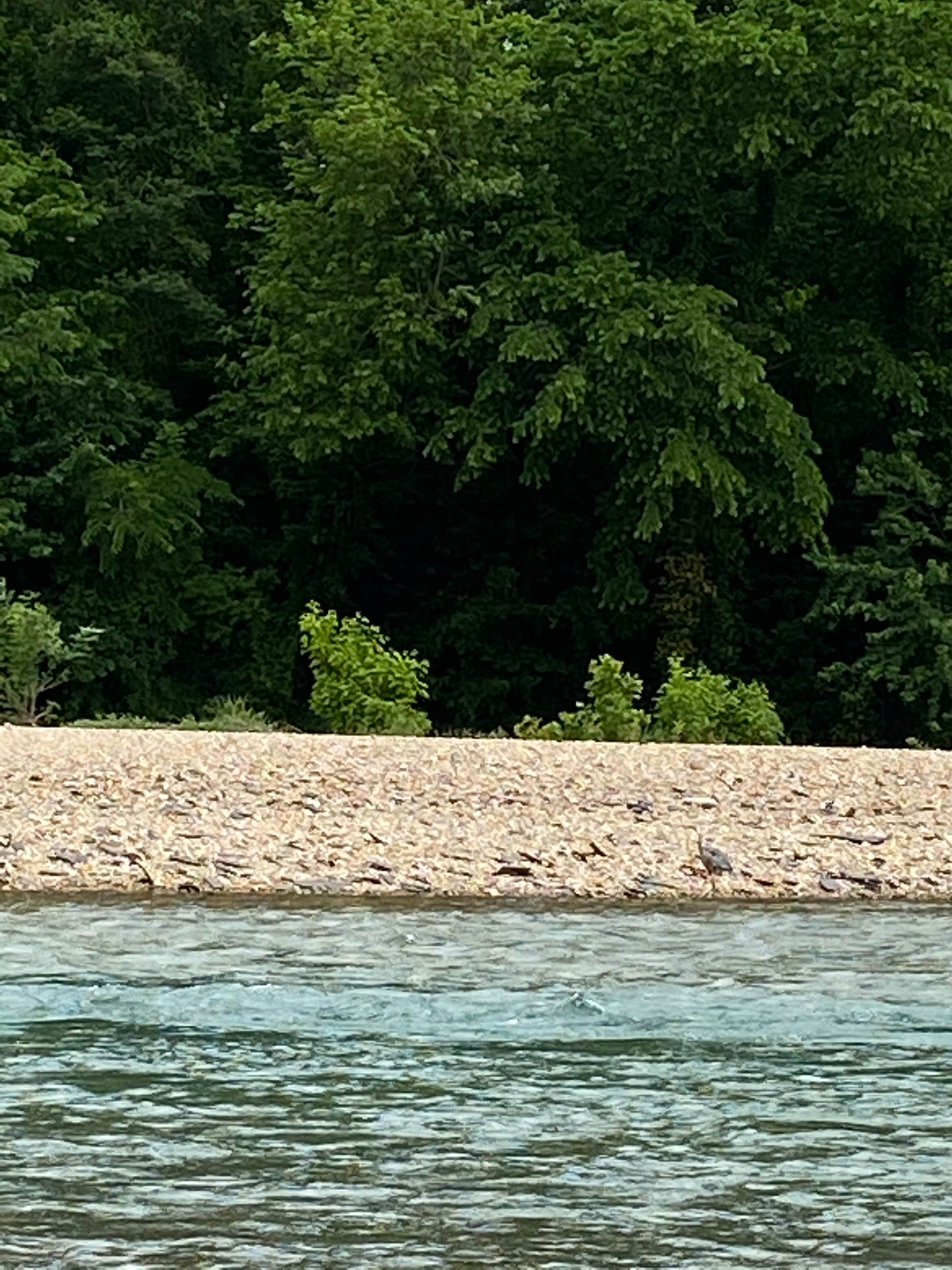 Camper-submitted photo at Elk River Floats & Campground near Noel, MO