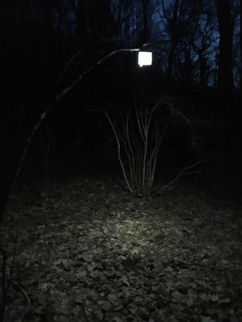 Camper-submitted photo at Wayah Bald Campground near Otto, NC