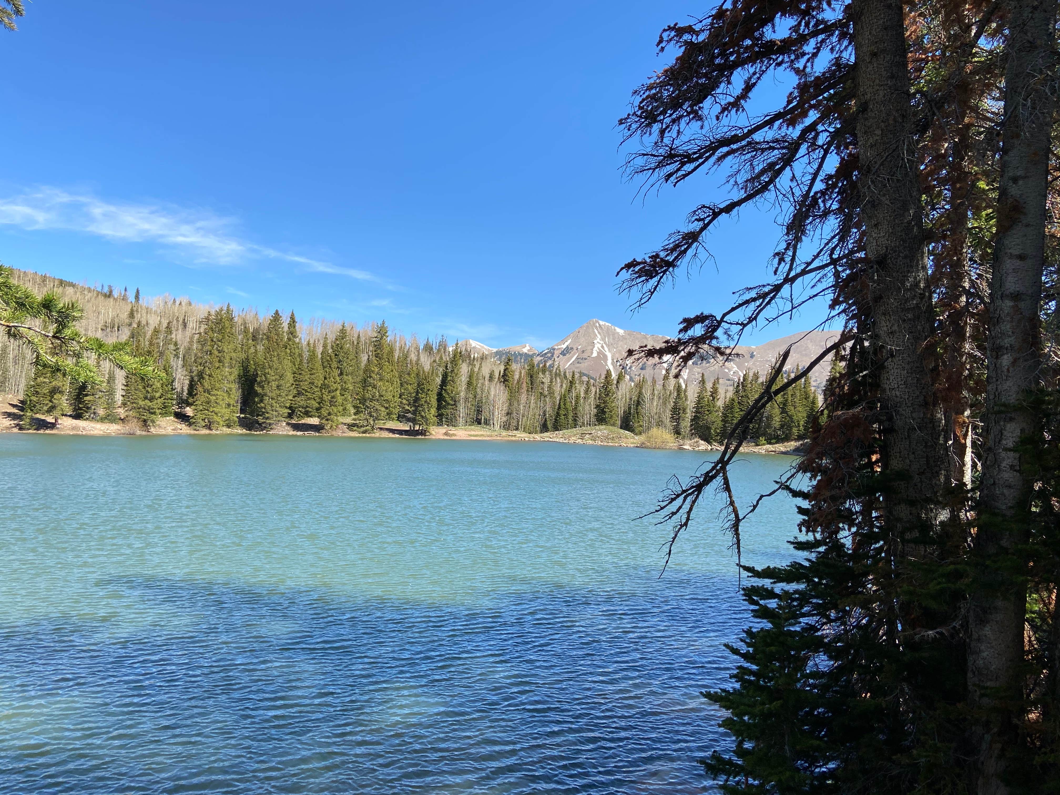 Camper submitted image from Geyser Pass Yurt - 5