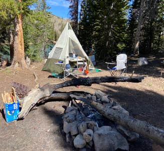 Camper-submitted photo from Geyser Pass Yurt