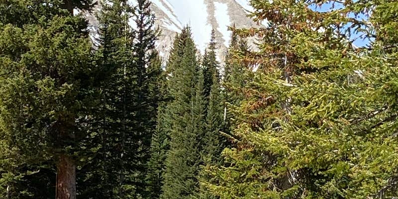 Camper submitted image from Geyser Pass Yurt