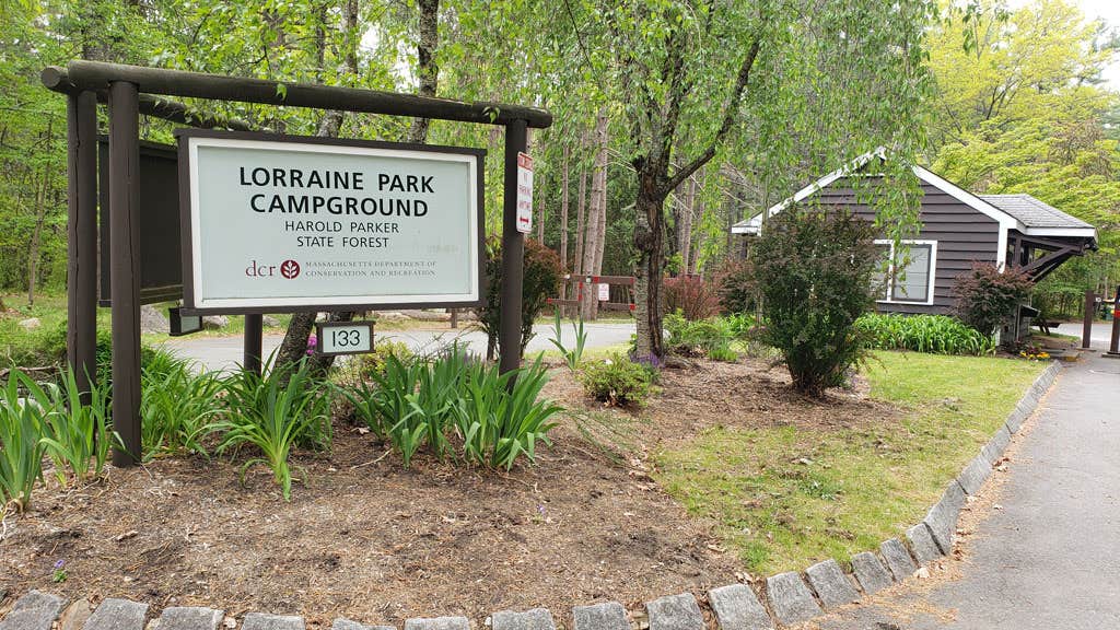 Camper-submitted photo at Lorraine Park Campground — Harold Parker State Forest near Methuen Town, MA
