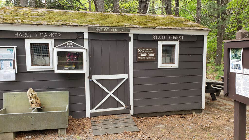 Jean C.'s photo of a cabin at Lorraine Park Campground — Harold Parker State Forest near Hooksett, NH