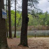 Review photo of Lorraine Park Campground — Harold Parker State Forest by Jean C., May 27, 2020