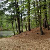 Review photo of Lorraine Park Campground — Harold Parker State Forest by Jean C., May 27, 2020