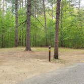 Review photo of Lorraine Park Campground — Harold Parker State Forest by Jean C., May 27, 2020