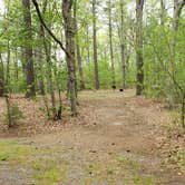 Review photo of Lorraine Park Campground — Harold Parker State Forest by Jean C., May 27, 2020