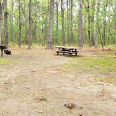 Review photo of Lorraine Park Campground — Harold Parker State Forest by Jean C., May 27, 2020