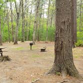 Review photo of Lorraine Park Campground — Harold Parker State Forest by Jean C., May 27, 2020