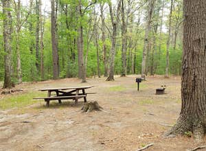 Lorraine Park Campground — Harold Parker State Forest