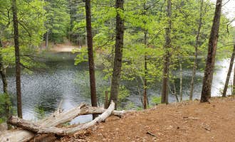 Camping near Camp Nihan Education Center: Lorraine Park Campground — Harold Parker State Forest, North Reading, Massachusetts