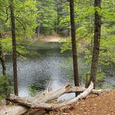 Review photo of Lorraine Park Campground — Harold Parker State Forest by Jean C., May 27, 2020