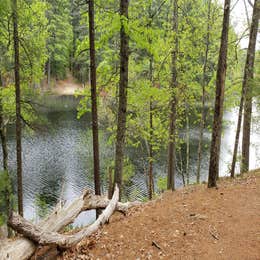 Harold Parker State Forest - Lorraine Campground