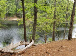 Lorraine Park Campground — Harold Parker State Forest