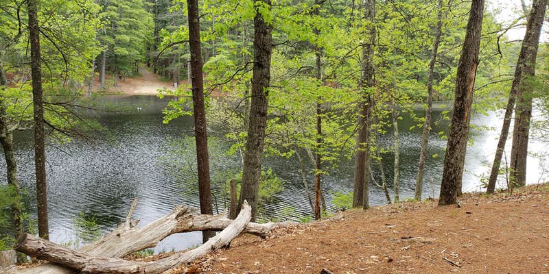 Camper submitted image from Lorraine Park Campground — Harold Parker State Forest