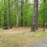 Review photo of Lorraine Park Campground — Harold Parker State Forest by Jean C., May 27, 2020