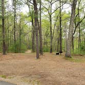 Review photo of Lorraine Park Campground — Harold Parker State Forest by Jean C., May 27, 2020