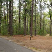 Review photo of Lorraine Park Campground — Harold Parker State Forest by Jean C., May 27, 2020