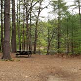 Review photo of Lorraine Park Campground — Harold Parker State Forest by Jean C., May 27, 2020