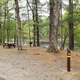 Review photo of Lorraine Park Campground — Harold Parker State Forest by Jean C., May 27, 2020