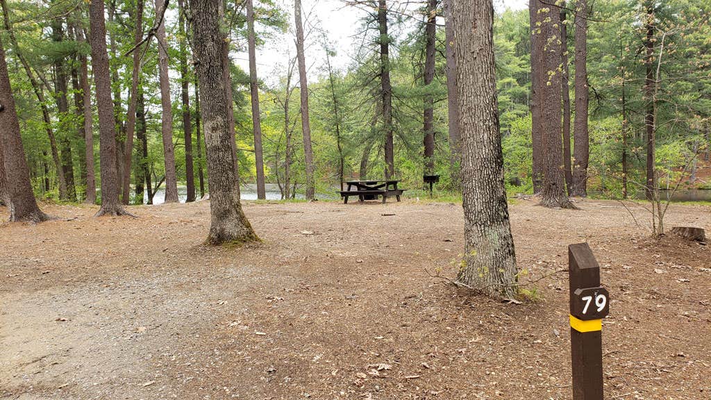 Camper-submitted photo at Lorraine Park Campground — Harold Parker State Forest near Methuen Town, MA