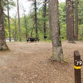 Review photo of Lorraine Park Campground — Harold Parker State Forest by Jean C., May 27, 2020