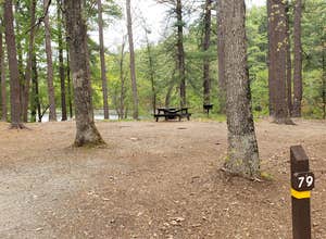 Lorraine Park Campground — Harold Parker State Forest
