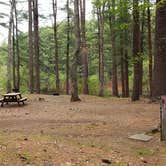 Review photo of Lorraine Park Campground — Harold Parker State Forest by Jean C., May 27, 2020