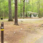 Review photo of Lorraine Park Campground — Harold Parker State Forest by Jean C., May 27, 2020