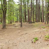 Review photo of Lorraine Park Campground — Harold Parker State Forest by Jean C., May 27, 2020