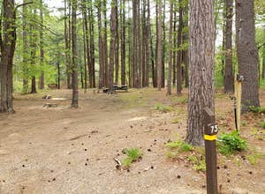 Lorraine Park Campground — Harold Parker State Forest