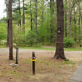 Review photo of Lorraine Park Campground — Harold Parker State Forest by Jean C., May 27, 2020