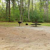 Review photo of Lorraine Park Campground — Harold Parker State Forest by Jean C., May 27, 2020