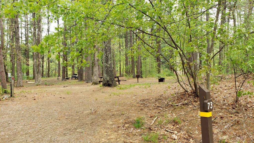 Lorraine Park Campground — Harold Parker State Forest