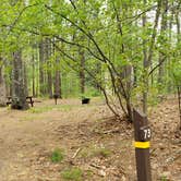 Review photo of Lorraine Park Campground — Harold Parker State Forest by Jean C., May 27, 2020