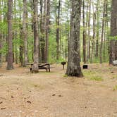 Review photo of Lorraine Park Campground — Harold Parker State Forest by Jean C., May 27, 2020