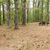 Review photo of Lorraine Park Campground — Harold Parker State Forest by Jean C., May 27, 2020