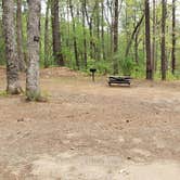 Review photo of Lorraine Park Campground — Harold Parker State Forest by Jean C., May 27, 2020