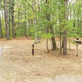 Review photo of Lorraine Park Campground — Harold Parker State Forest by Jean C., May 27, 2020