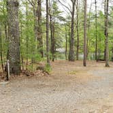 Review photo of Lorraine Park Campground — Harold Parker State Forest by Jean C., May 27, 2020