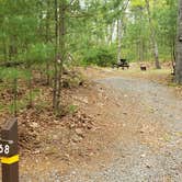 Review photo of Lorraine Park Campground — Harold Parker State Forest by Jean C., May 27, 2020