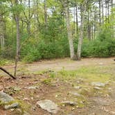 Review photo of Lorraine Park Campground — Harold Parker State Forest by Jean C., May 27, 2020