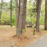 Review photo of Lorraine Park Campground — Harold Parker State Forest by Jean C., May 27, 2020