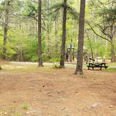 Review photo of Lorraine Park Campground — Harold Parker State Forest by Jean C., May 27, 2020