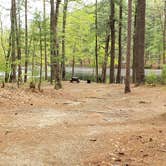 Review photo of Lorraine Park Campground — Harold Parker State Forest by Jean C., May 27, 2020