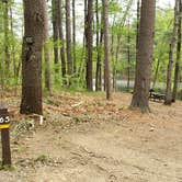 Review photo of Lorraine Park Campground — Harold Parker State Forest by Jean C., May 27, 2020