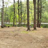 Review photo of Lorraine Park Campground — Harold Parker State Forest by Jean C., May 27, 2020