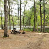 Review photo of Lorraine Park Campground — Harold Parker State Forest by Jean C., May 27, 2020